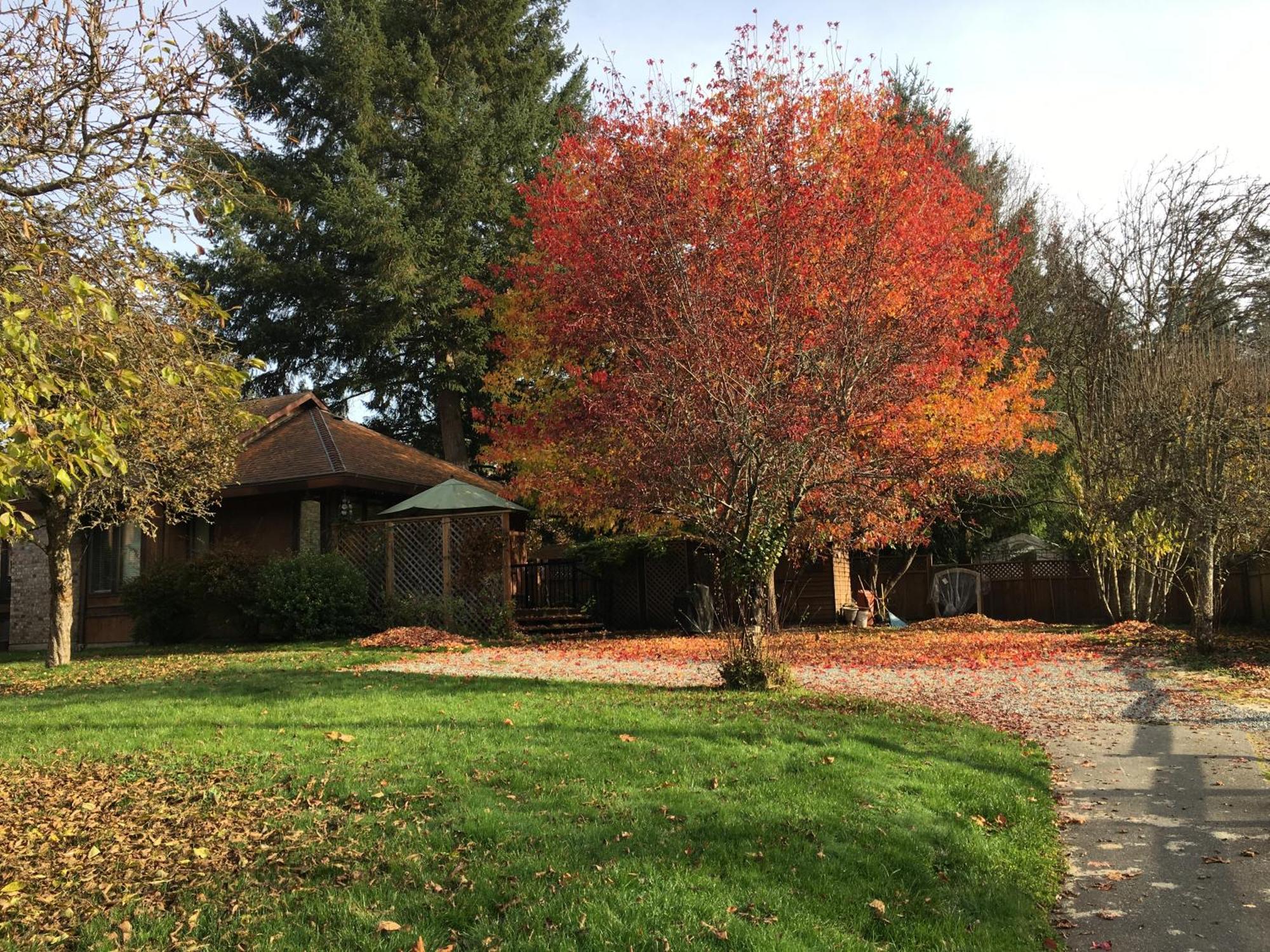 Coles Bay Vacation Retreat Villa North Saanich Exterior foto